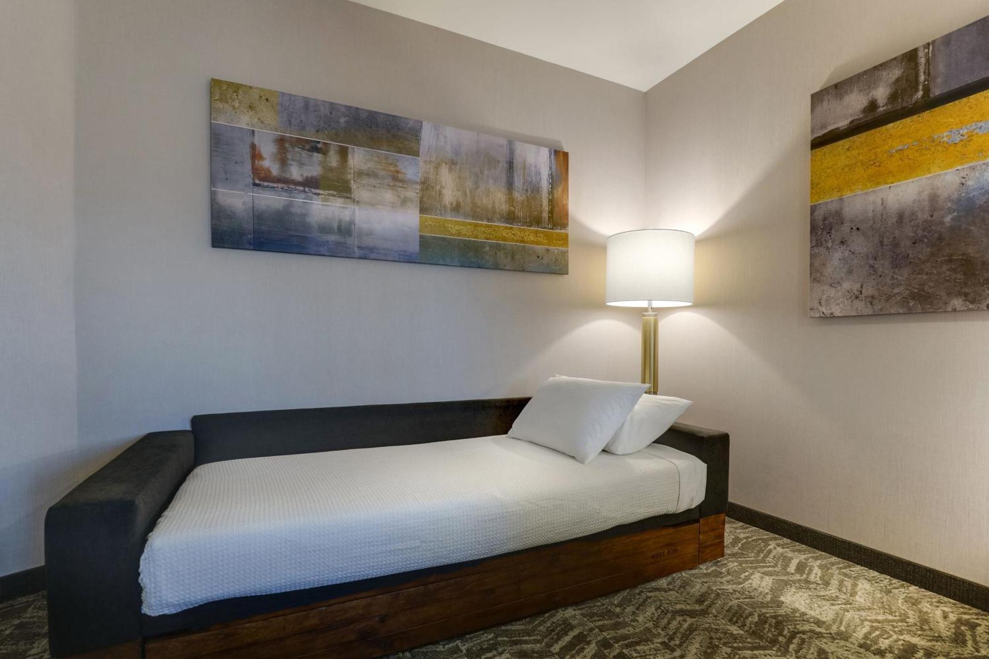 Springhill Suites By Marriott Cheraw Extérieur photo